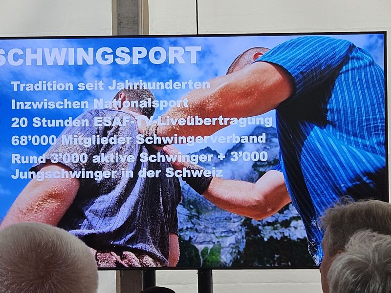 Einführung zum Schwingsport